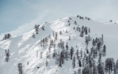 Lorem ipsum dolor sit amet, consectetur adipiscing elit